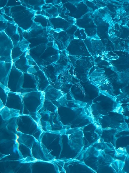 pool water